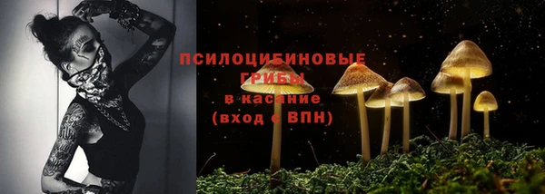 прущие грибы Богородск