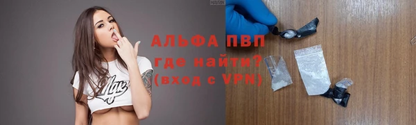 дмт Белокуриха