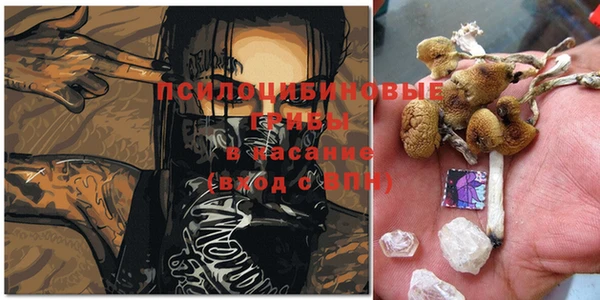 дмт Белокуриха