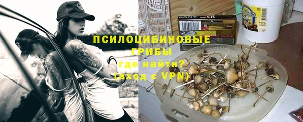 дмт Белокуриха