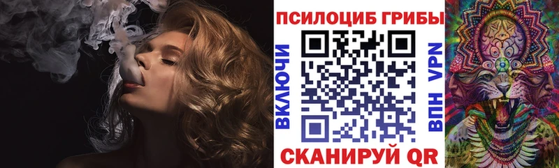Псилоцибиновые грибы мухоморы  наркотики  сайты даркнета официальный сайт  Севастополь 